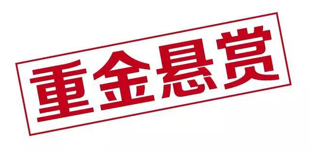 图片12.jpg